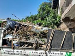Best Property Management Cleanouts  in West Glendive, MT